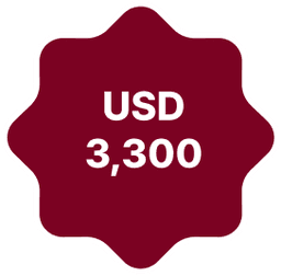 USD 3,300